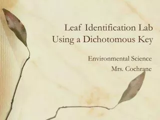 Leaf Identification Lab Using a Dichotomous Key