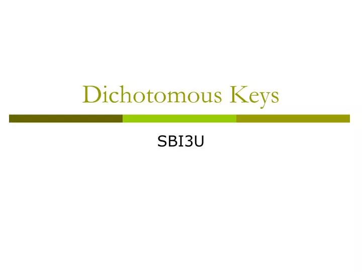 PPT - Dichotomous Keys PowerPoint Presentation, Free Download - ID:6088751