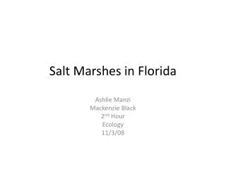 Salt Marshes in Florida