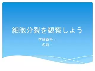 slide1