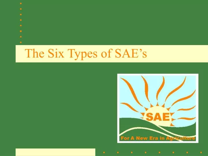 the six types of sae s