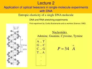 Lecture 2 Application of optical tweezers in single-molecule experiments with DNA