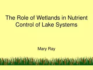 The Role of Wetlands in Nutrient Control of Lake Systems