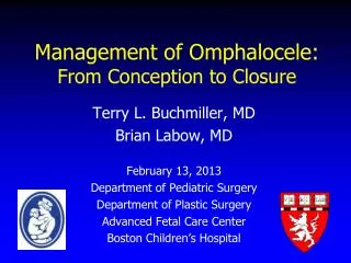 Management of Omphalocele: From Conception to Closure