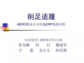 aero erp