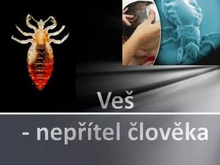 ve nep tel lov ka
