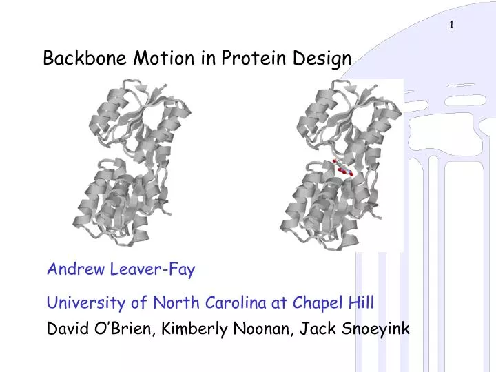 backbone motion in protein design