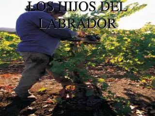 los hijos del labrador