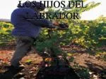 LOS HIJOS DEL LABRADOR - slide 1