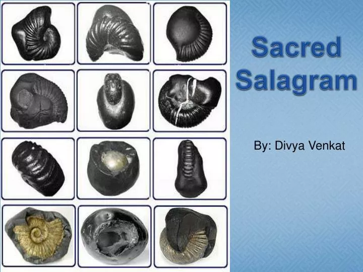 sacred salagram