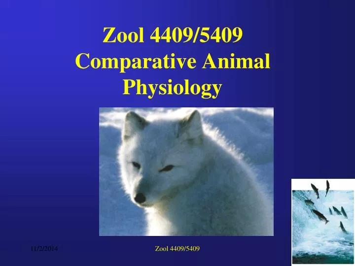 zool 4409 5409 comparative animal physiology