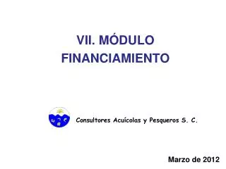 vii m dulo financiamiento