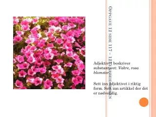 oppgave 12 side 117 121 i arbeidsboken