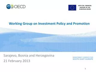 Working Group on Investment Policy and Promotion