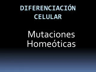 mutaciones home ticas