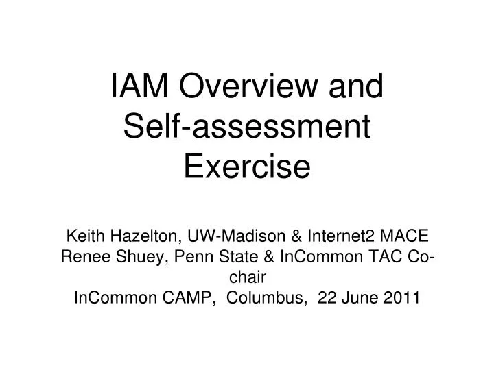 iam overview and self assessment exercise