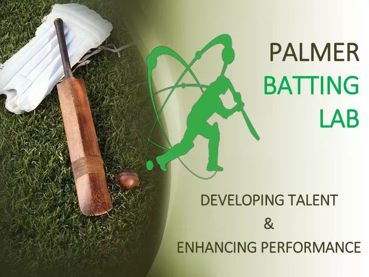 palmer batting lab