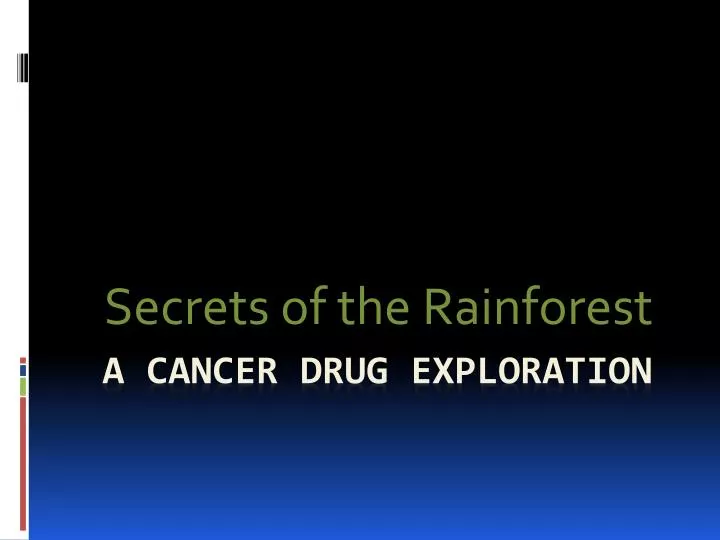 secrets of the rainforest