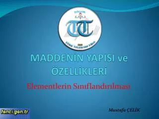 madden n yapisi ve zell kler