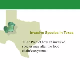 Invasive Species in Texas