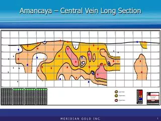amancaya central vein long section