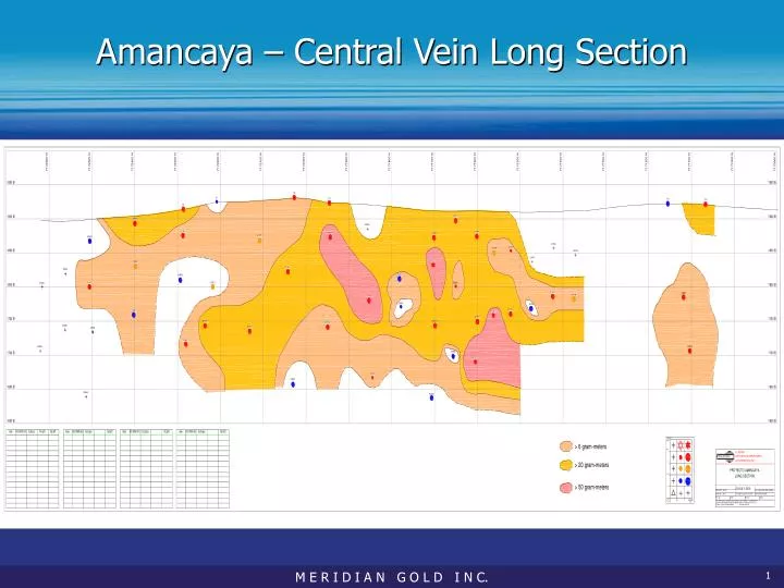 amancaya central vein long section