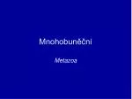 Mnohobuněční - slide 1