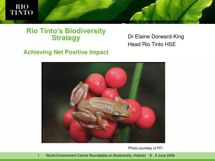 rio tinto s biodiversity strategy achieving net positive impact