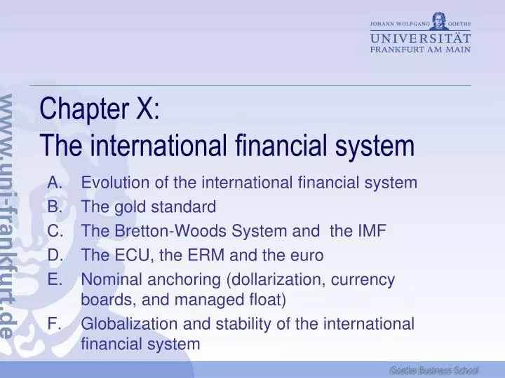 chapter x the international financial system