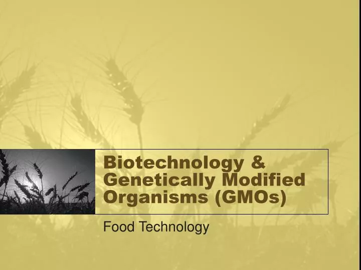 biotechnology genetically modified organisms gmos