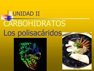 unidad ii