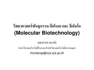 molecular biotechnology