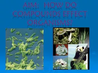 AIM: How do Compounds effect organisms?