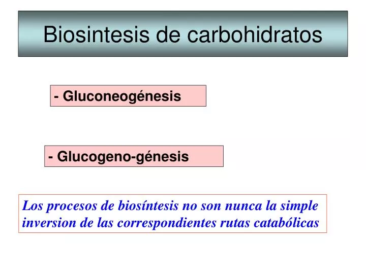 biosintesis de carbohidratos