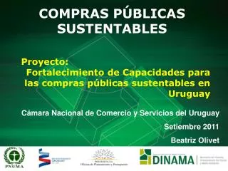 compras p blicas sustentables