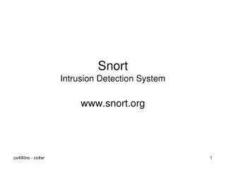 Snort Intrusion Detection System