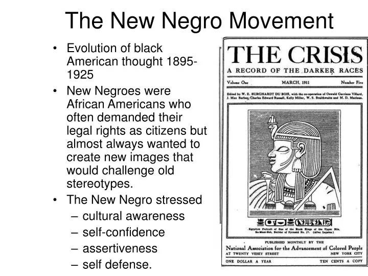 the new negro movement