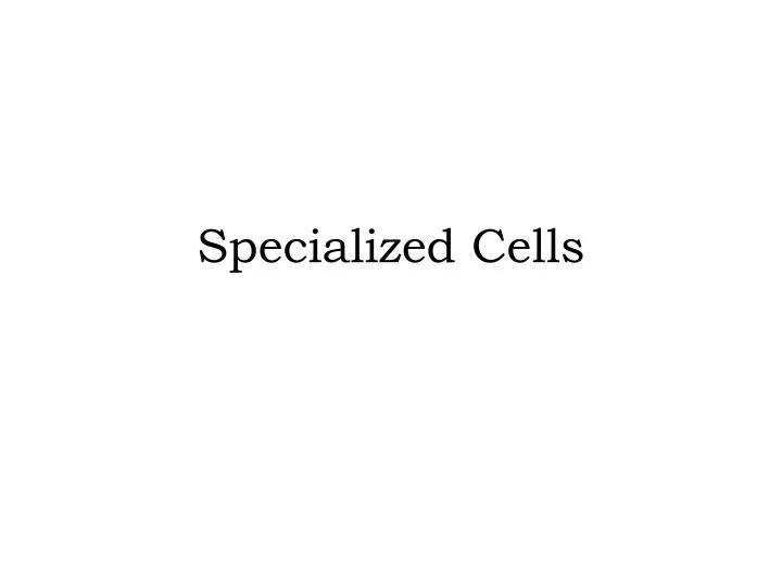 specialized cells
