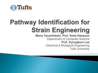 Pathway Identification for Strain Engineering