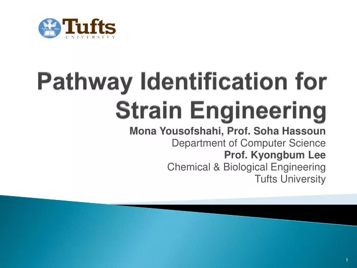 pathway identification for strain engineering