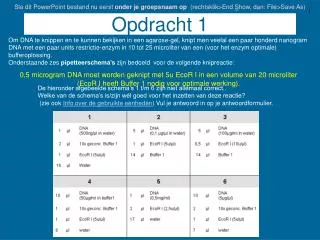 opdracht 1