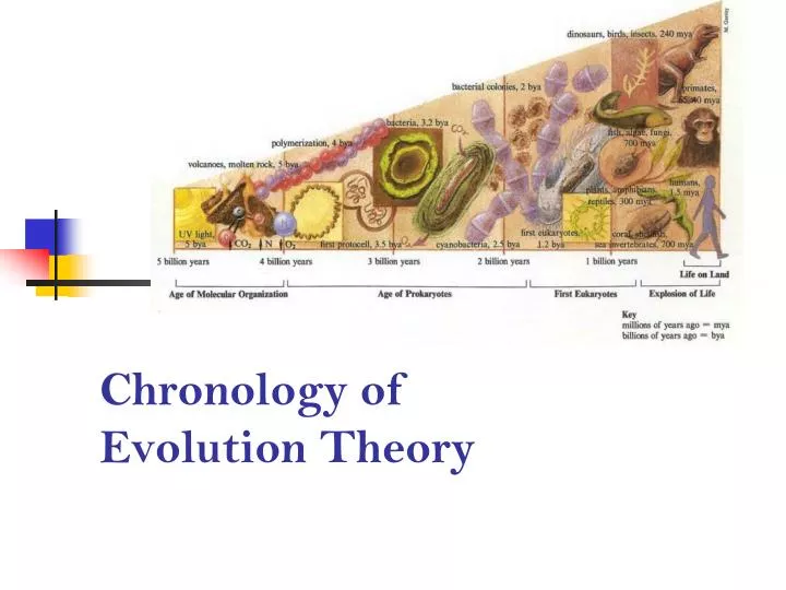 chronology of evolution theory