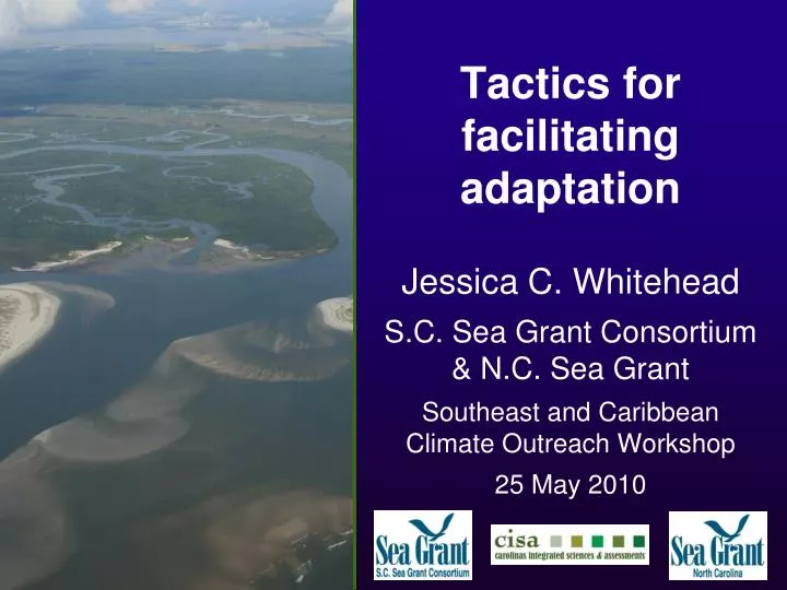 tactics for facilitating adaptation