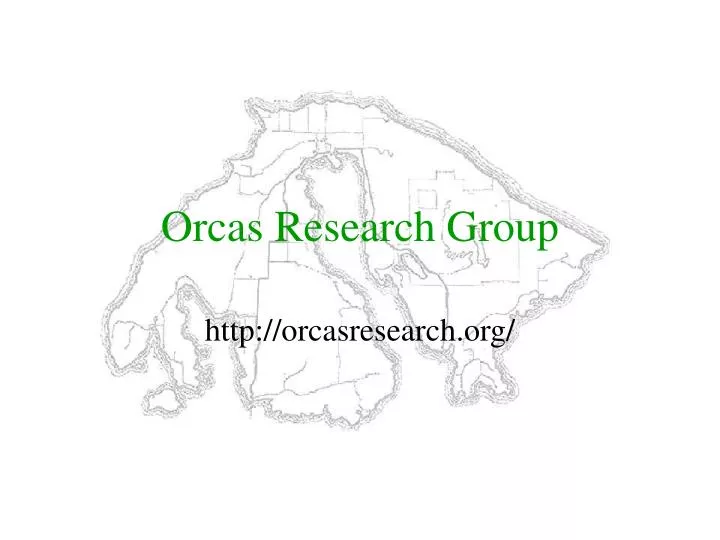 orcas research group