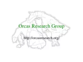 Orcas Research Group