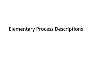 Elementary Process Descriptions