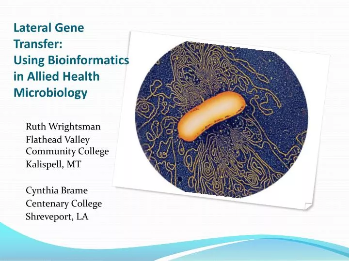 lateral gene transfer using bioinformatics in allied health microbiology