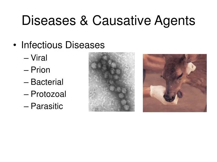 diseases causative agents