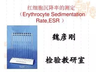 erythrocyte sedimentation rate esr