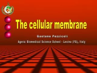 The cellular membrane